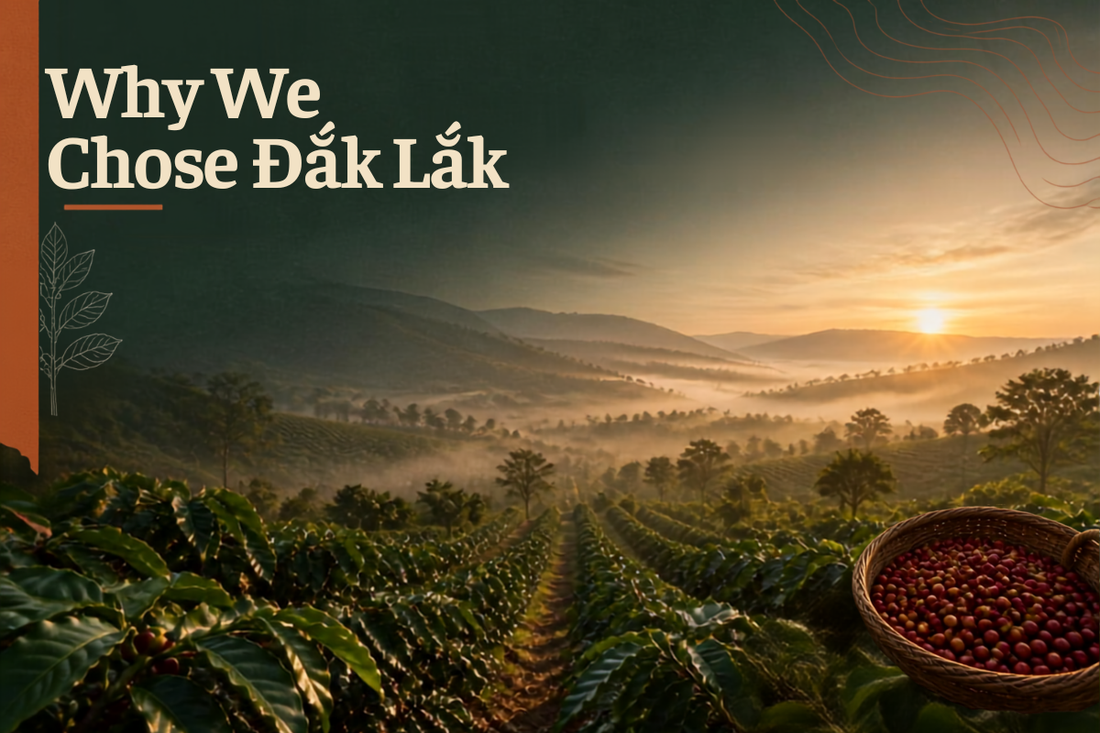 Why We Chose Đắk Lắk: The Home of Vietnamese Coffee