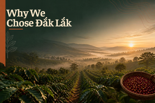 Why We Chose Đắk Lắk: The Home of Vietnamese Coffee